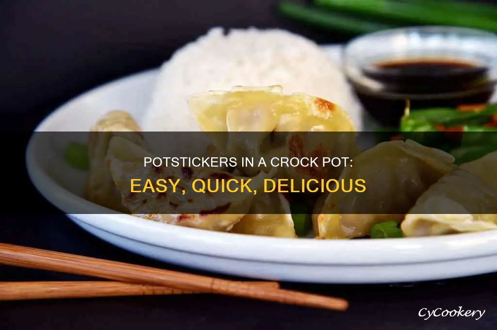 how to cook potstickers in a crock pot