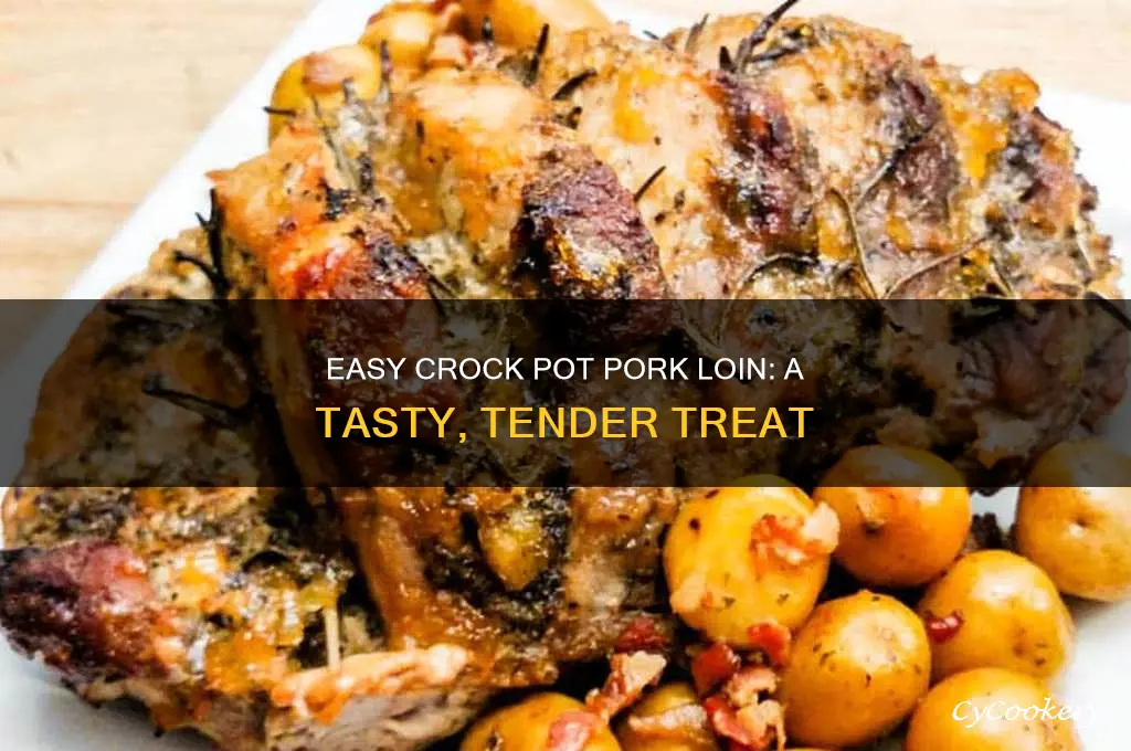 how to cook pre marinated pork loin in crock pot