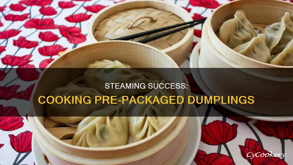 how to cook pre packaged steam dumplings