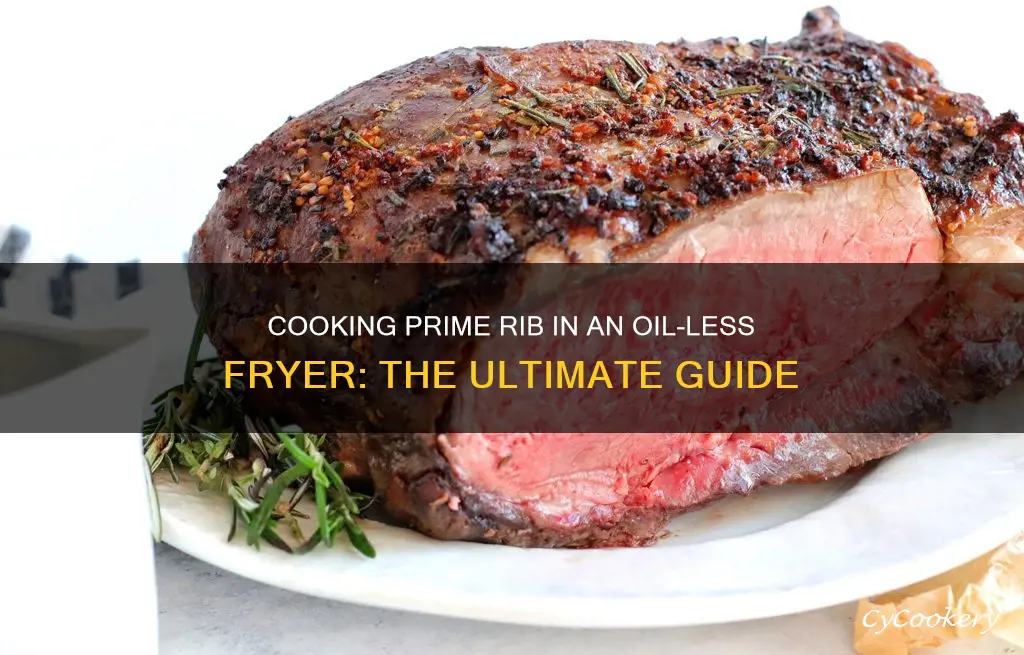 how to cook prime rib in oil less fryer