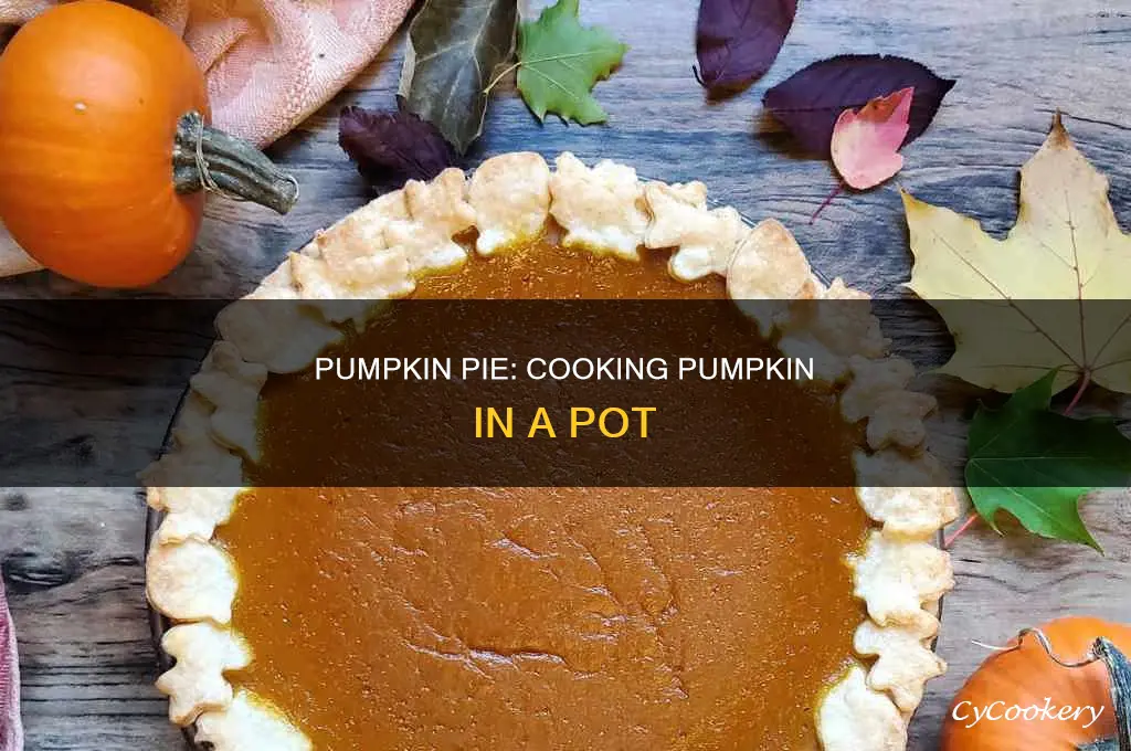 how to cook pumpkin for pie in a pot