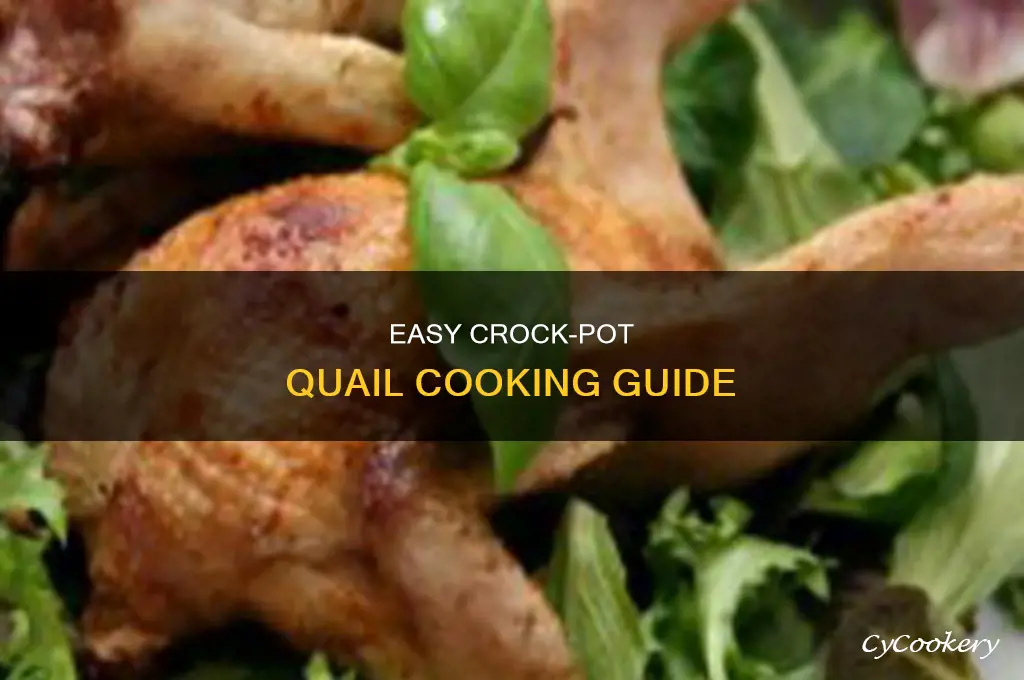 how to cook quail in a crock pot