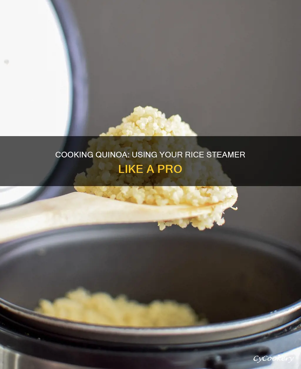 how to cook quinoa in a rice steamer