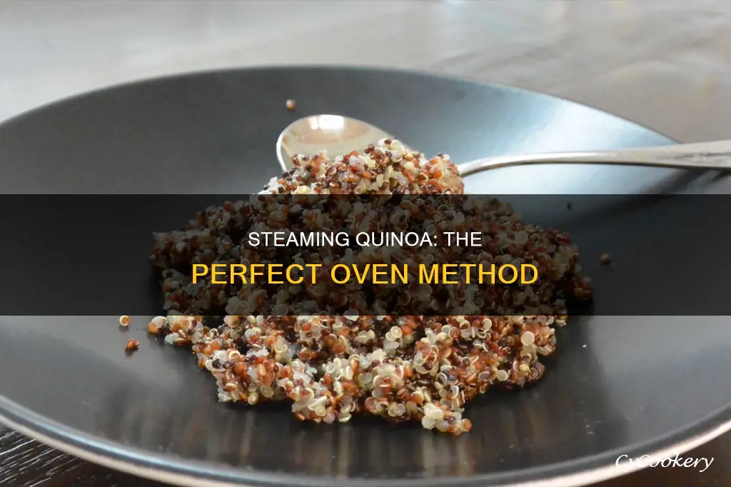 how to cook quinoa in a steam oven