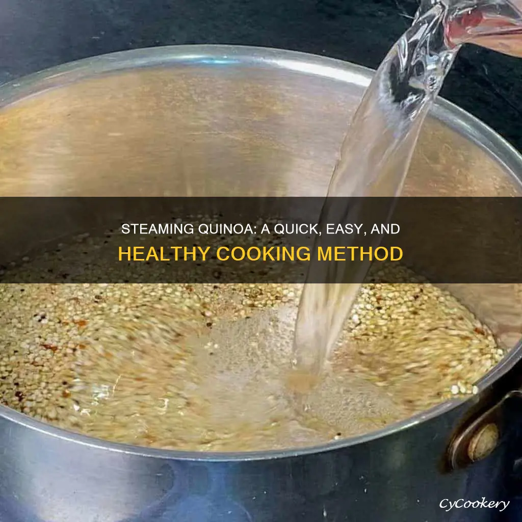 how to cook quinoa in a steamer