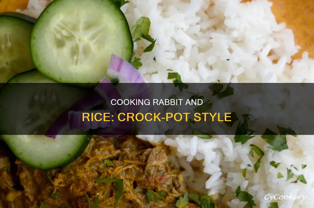 how to cook rabbit and rice in a crock pot