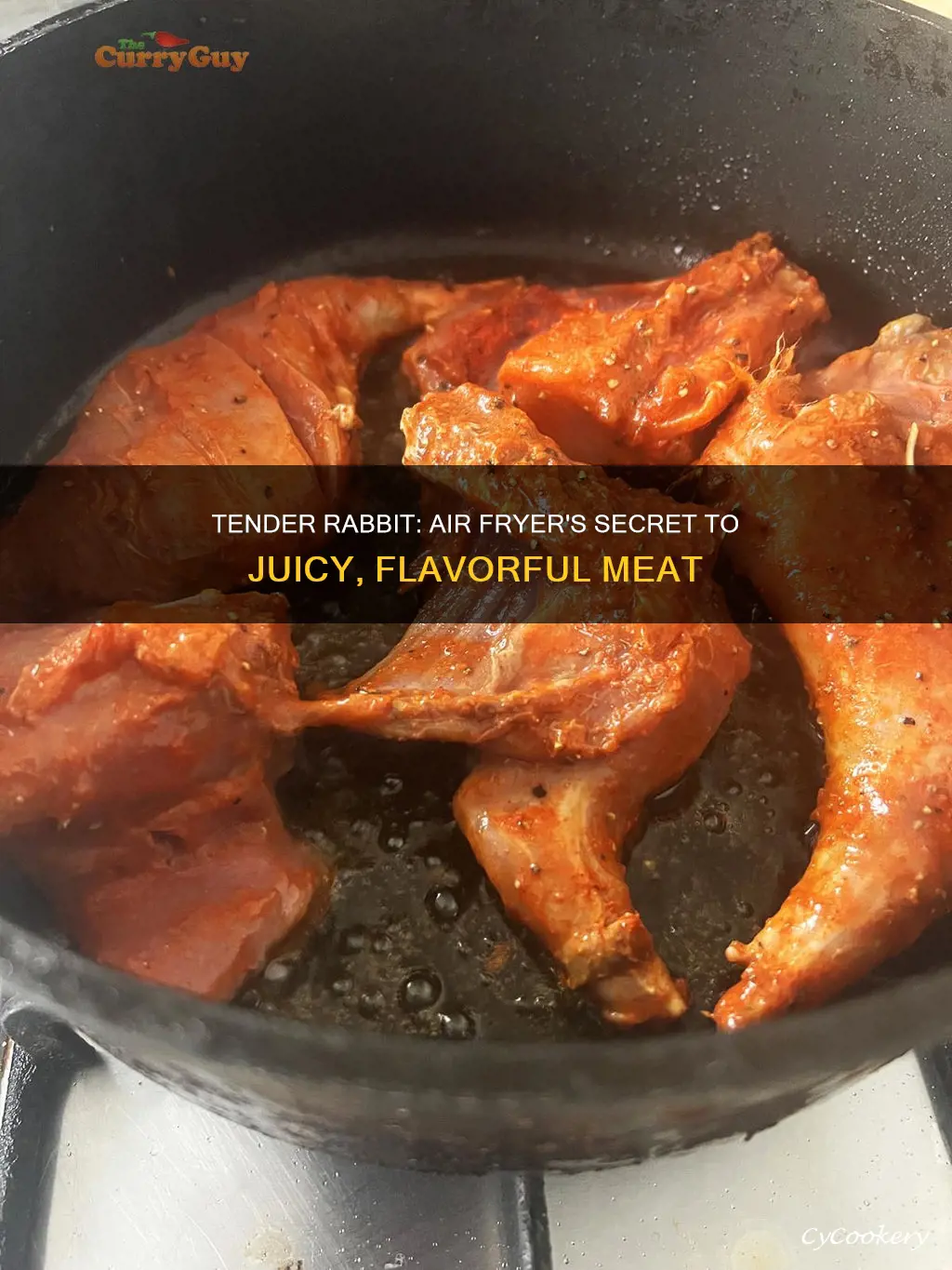 how to cook rabbit in air fryer