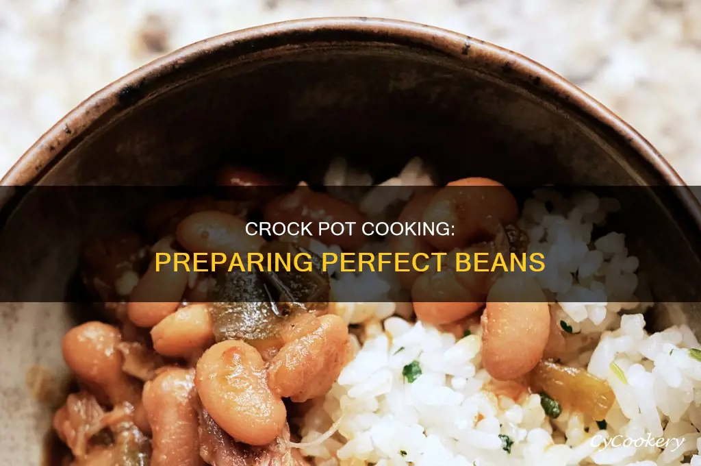 how to cook raw beans in a crock pot