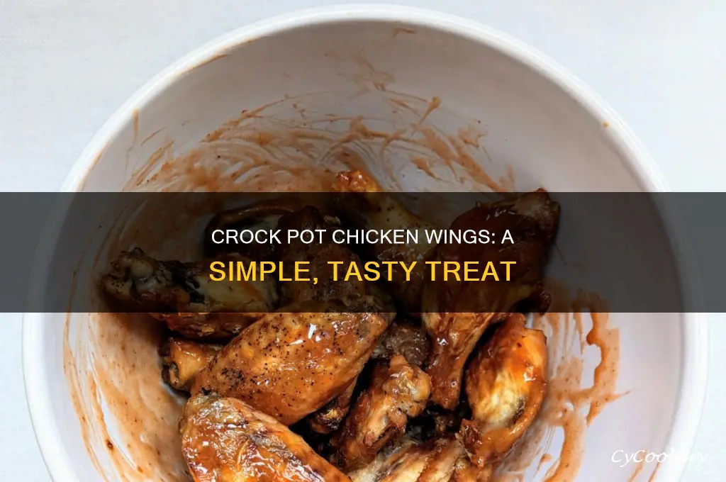 how to cook raw chicken wings in crock pot