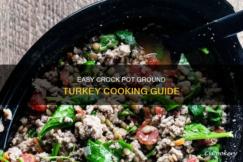 how to cook raw ground turkey in crock pot