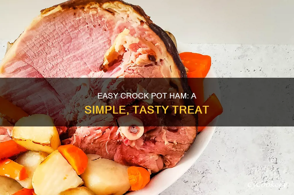 how to cook raw ham in crock pot