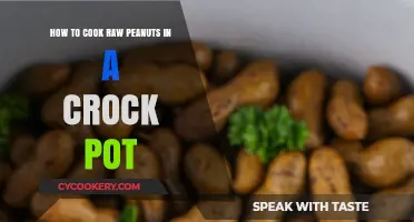Crock-Pot Cooking: Raw Peanuts, Delicious Results