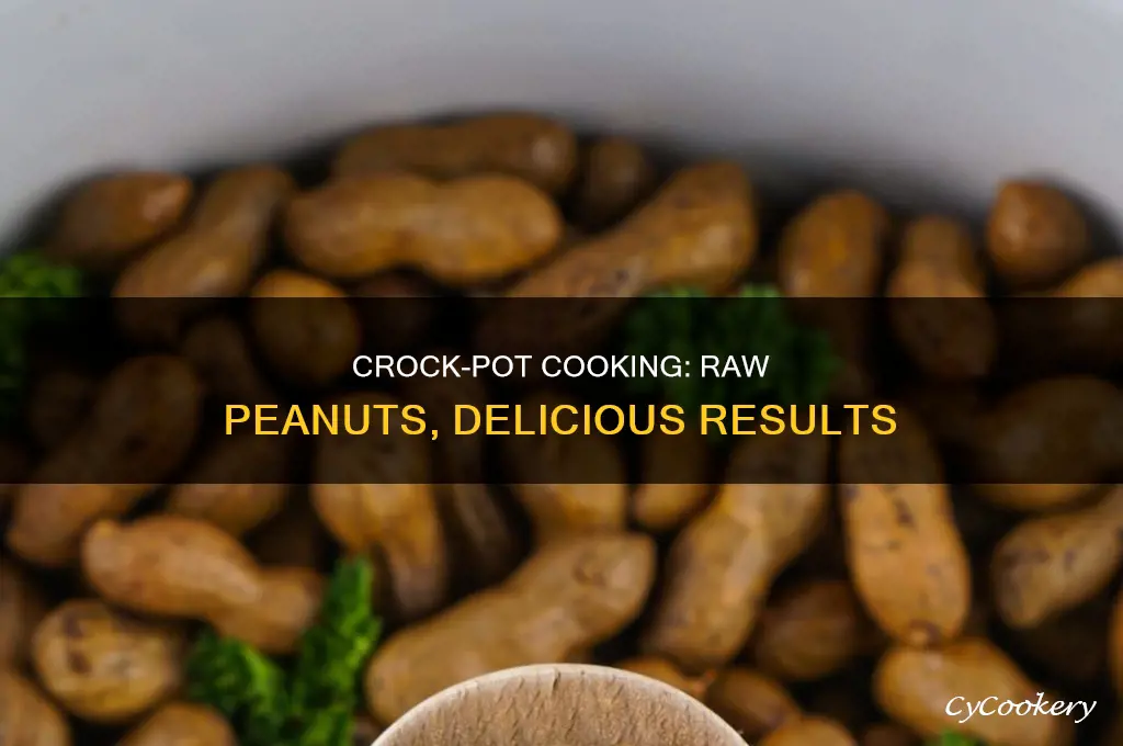 how to cook raw peanuts in a crock pot
