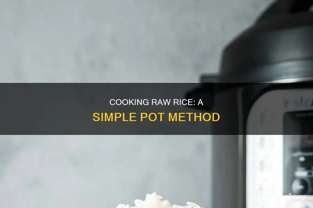 how to cook raw rice in a pot