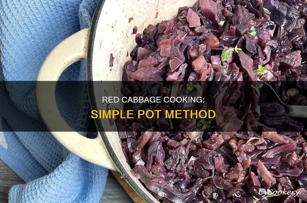 how to cook red cabbage in a pot