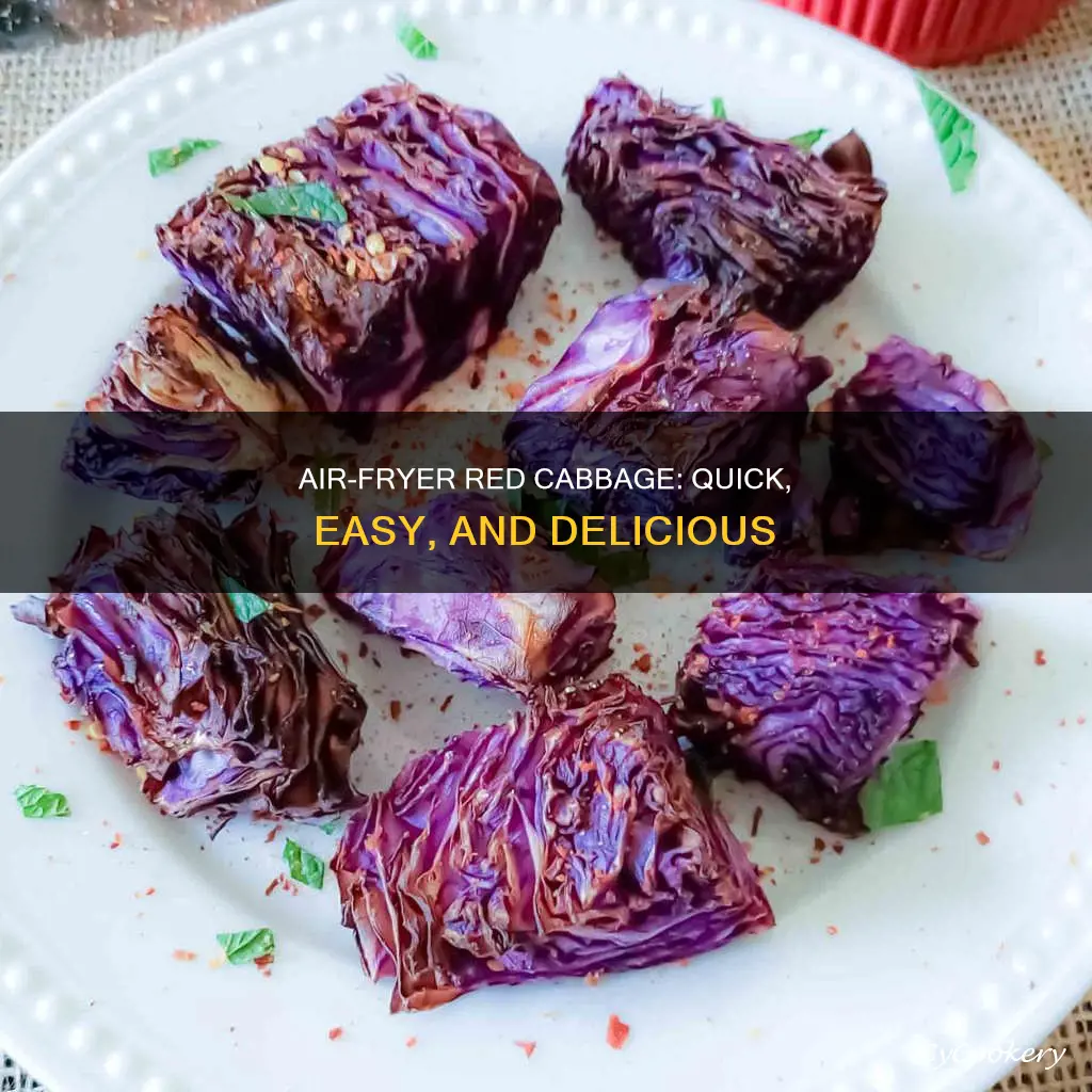 how to cook red cabbage in air fryer