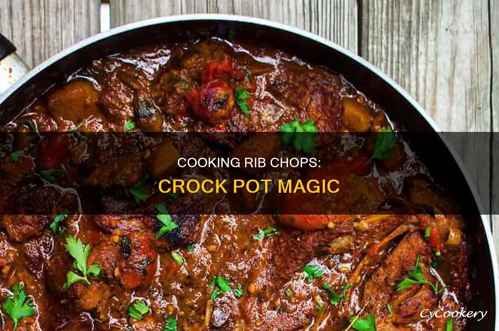 how to cook rib chops crock pot
