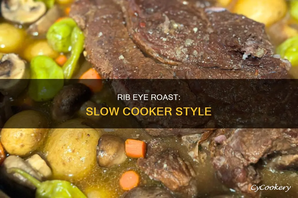 how to cook rib eye oven in crock pot