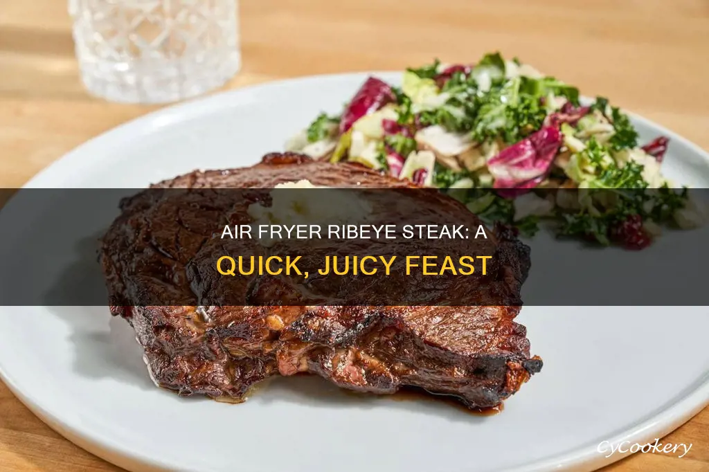 how to cook ribeye steak in power air fryer oven