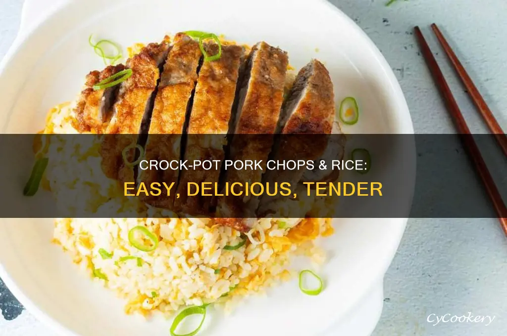how to cook rice and pork chops in crock pot