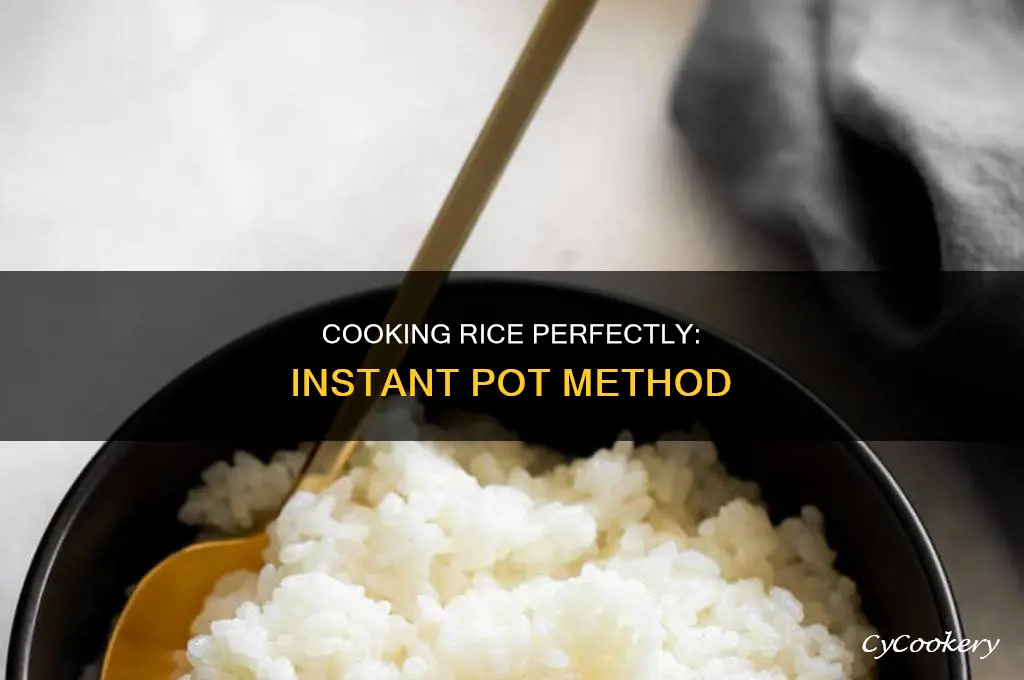 how to cook rice in 8nstant pot