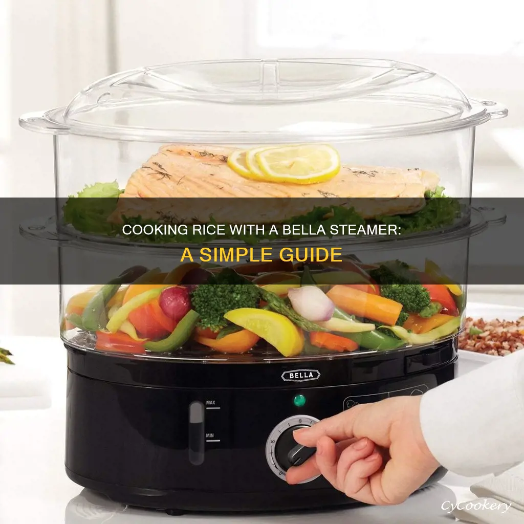 how to cook rice in a bella steamer