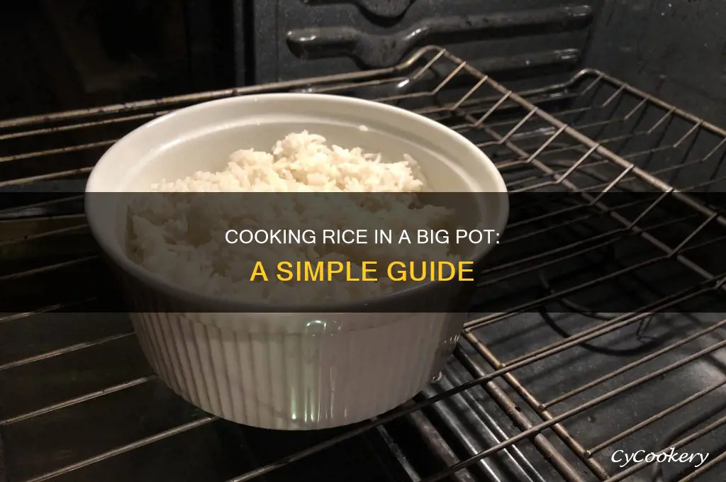 how to cook rice in a big pot
