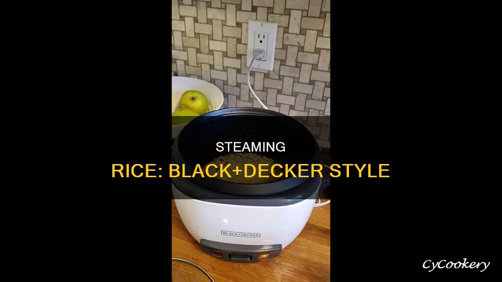 how to cook rice in a black and decker steamer