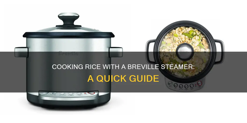 how to cook rice in a breville steamer