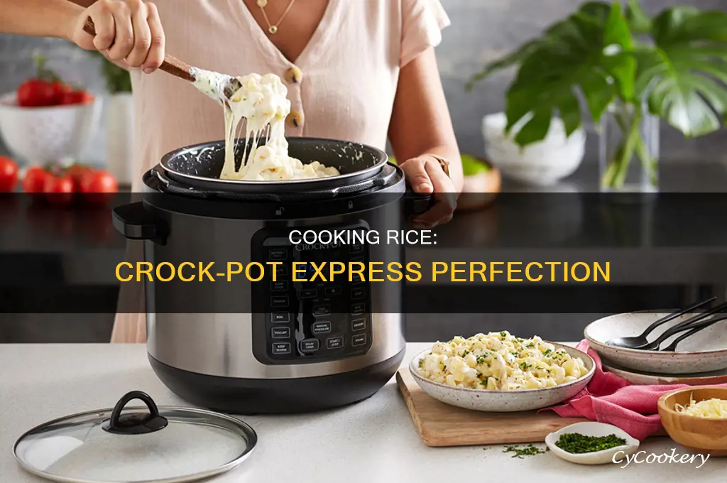 how to cook rice in a crock pot express cooker