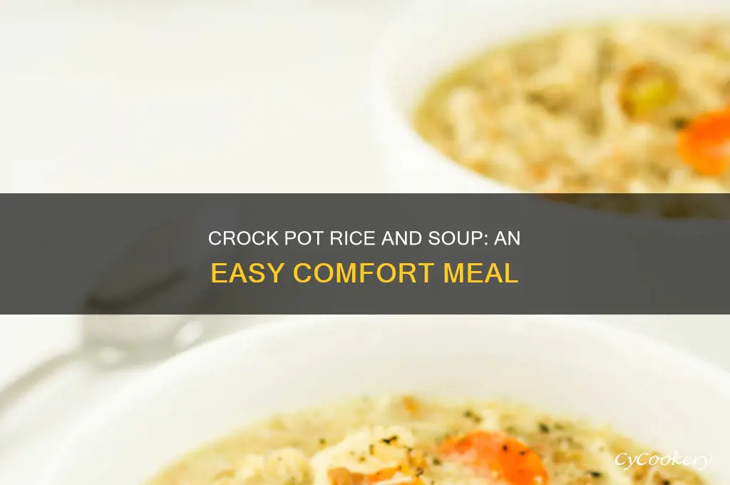 how to cook rice in a crock pot with soup
