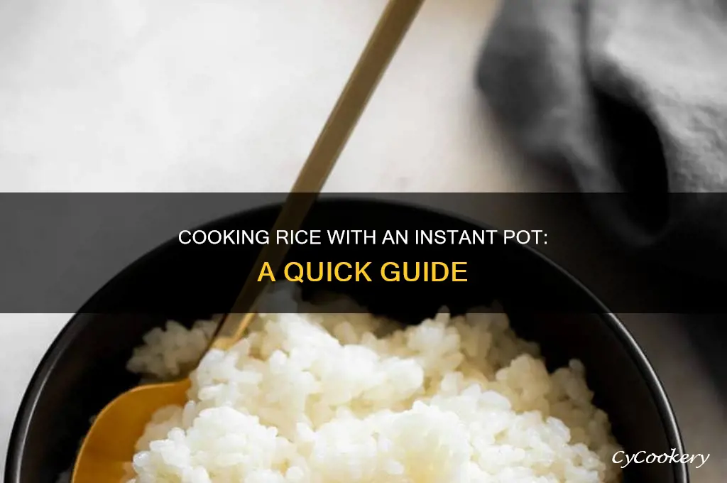 how to cook rice in a instan pot