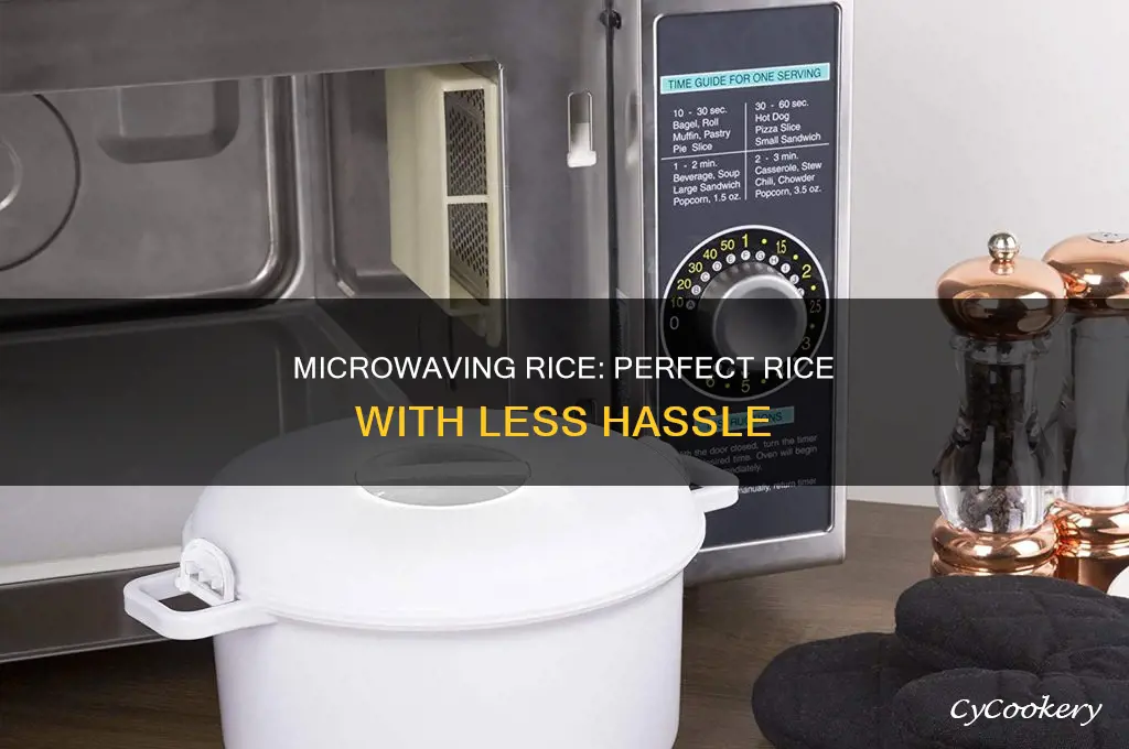 how to cook rice in a microwave rice pot