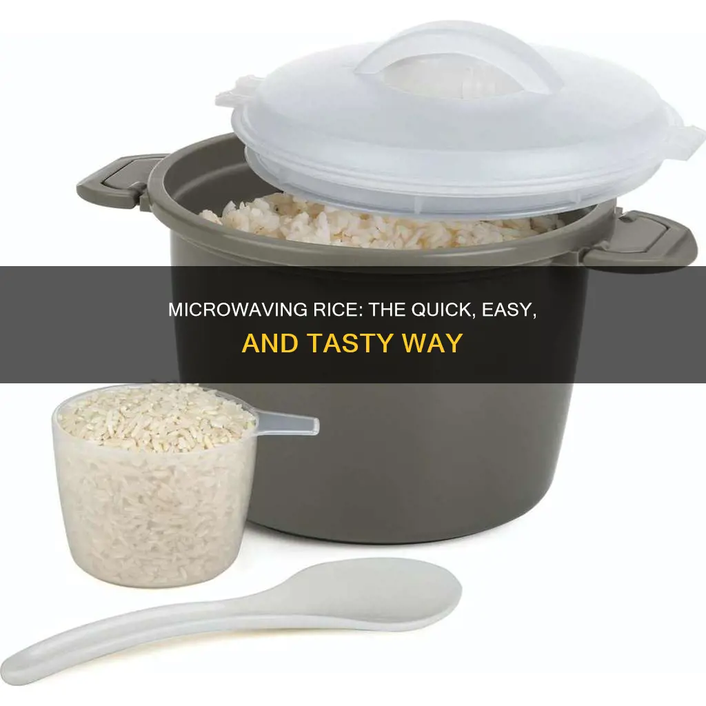 how to cook rice in a microwave rice steamer