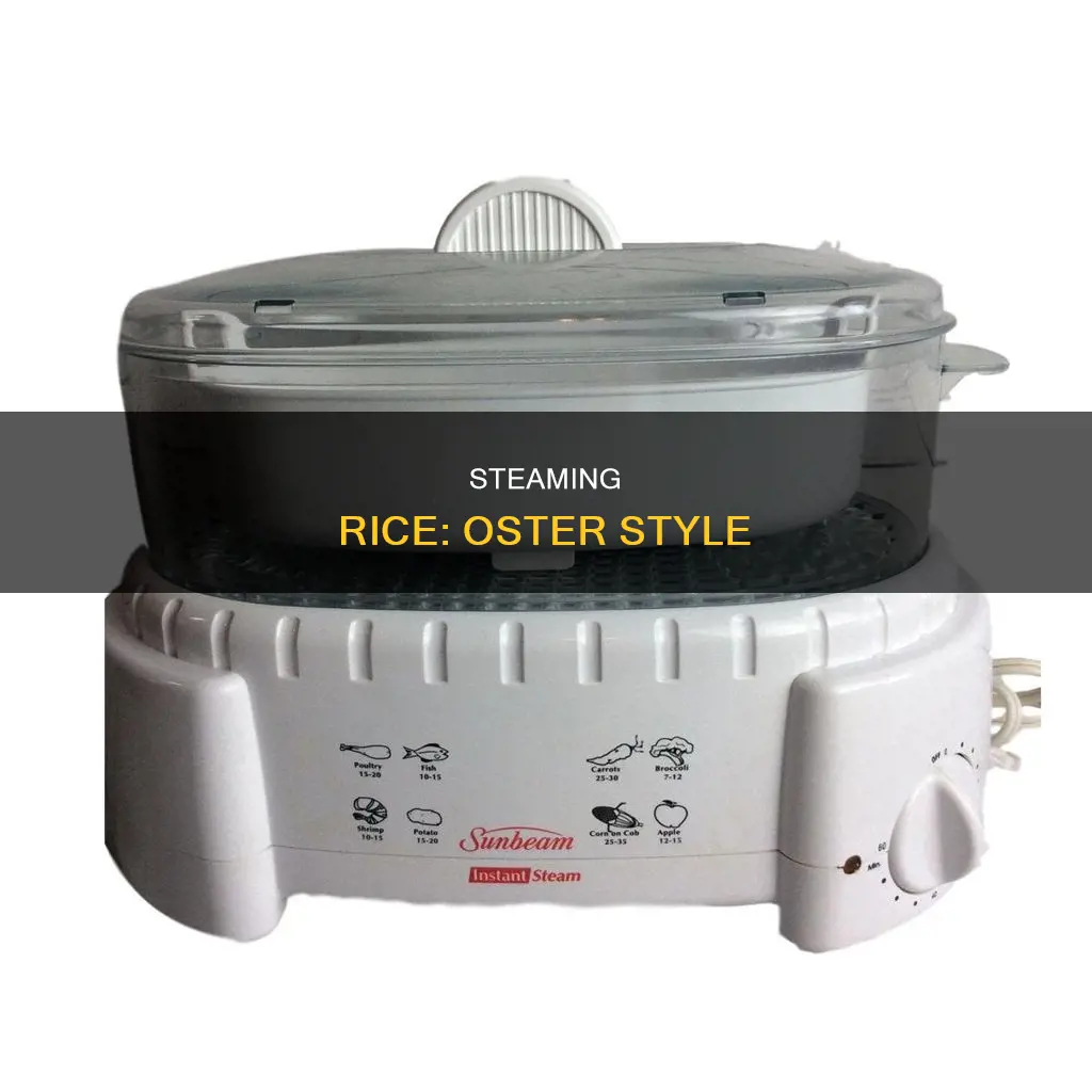 how to cook rice in a oster food steamer