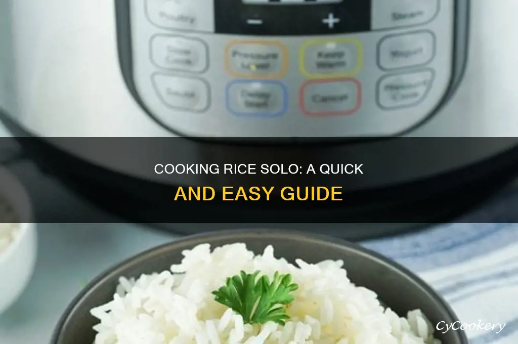 how to cook rice in a pot for one person