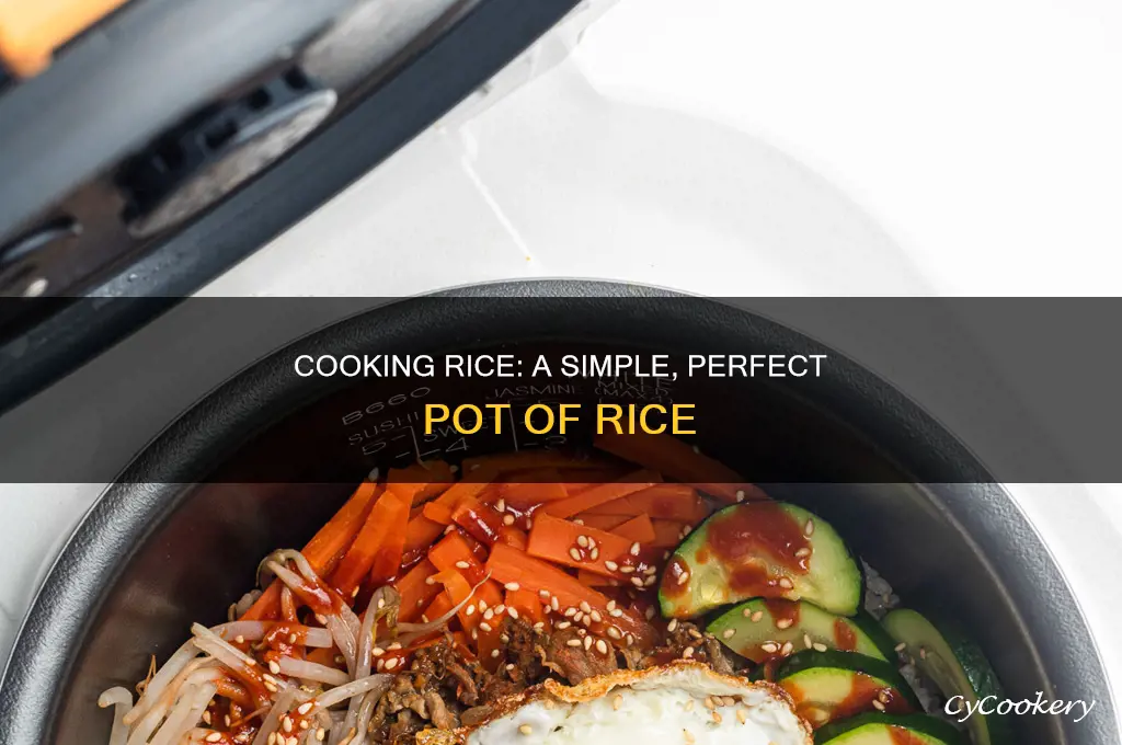 how to cook rice in a pot just hungry