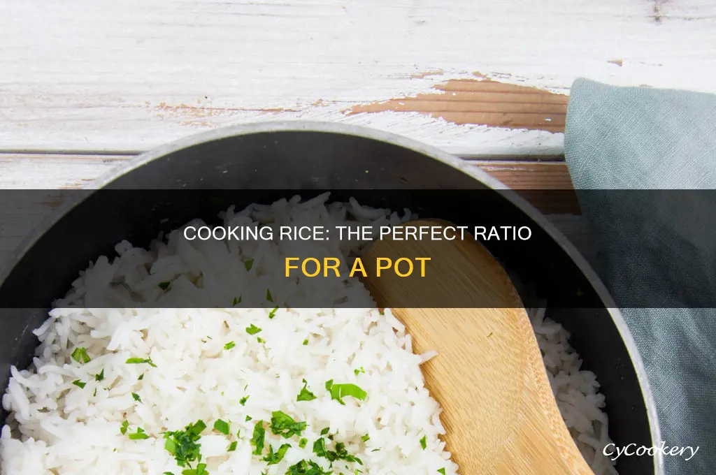 how to cook rice in a pot ratio