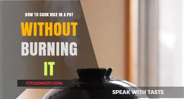 Cooking Rice: Avoid Burning, Master the Pot