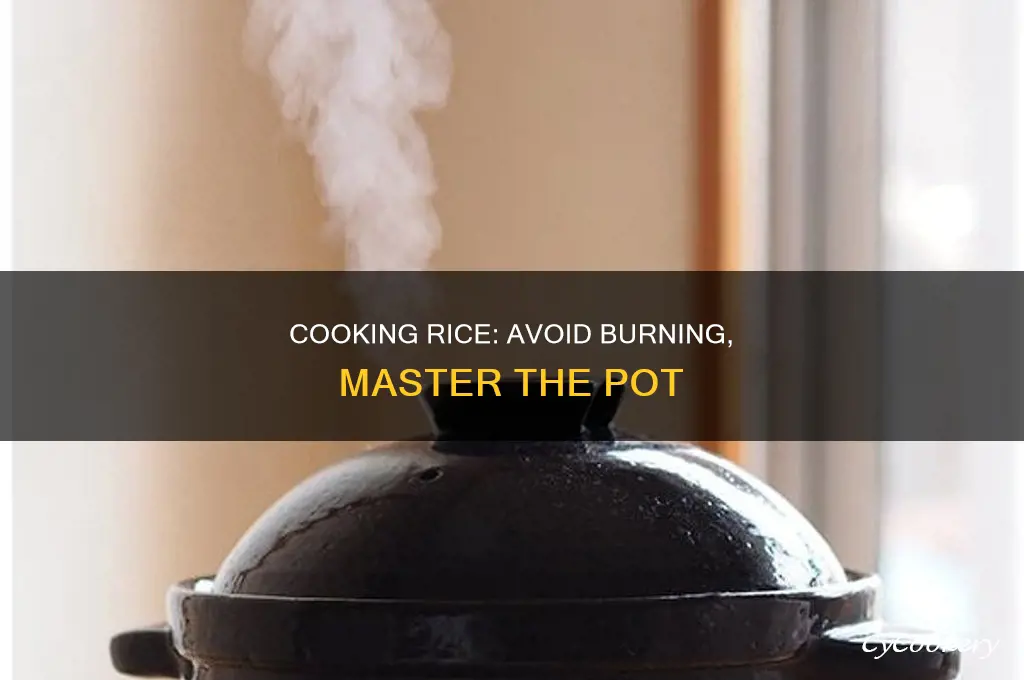 how to cook rice in a pot without burning it