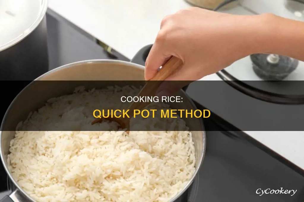how to cook rice in a power quick pot
