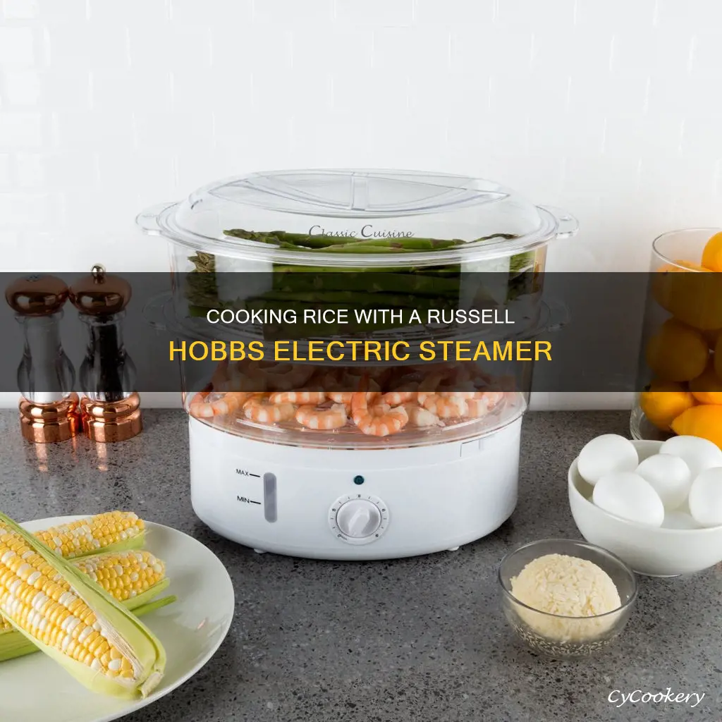 how to cook rice in a russell hobbs electric steamer