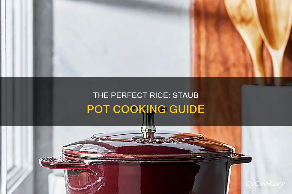 The Perfect Rice: Staub Pot Cooking Guide | CyCookery