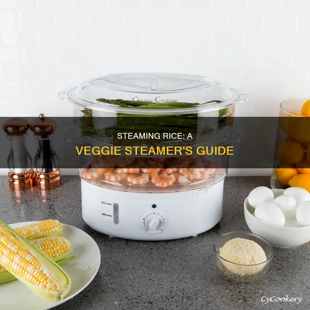 how to cook rice in a veggie steamer