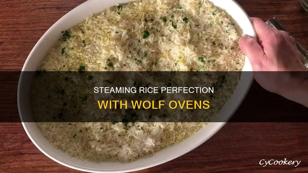 how to cook rice in a wolf steam oven