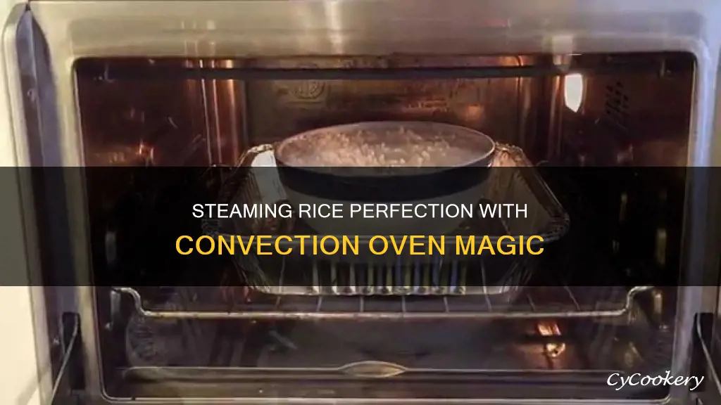 how to cook rice in convection steam oven