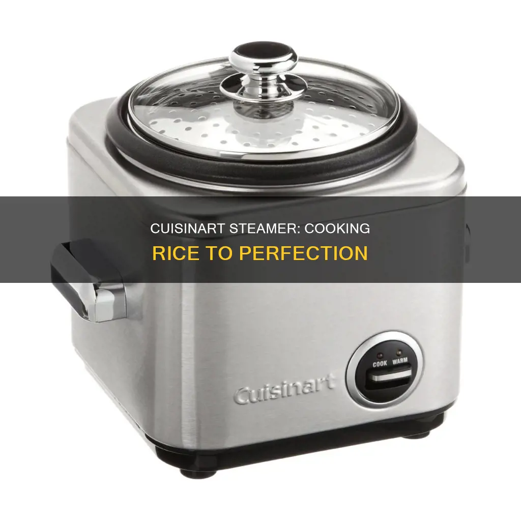 how to cook rice in cuisinart steamer