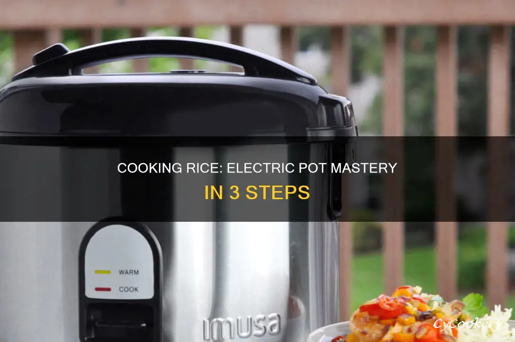 how to cook rice in electric pot