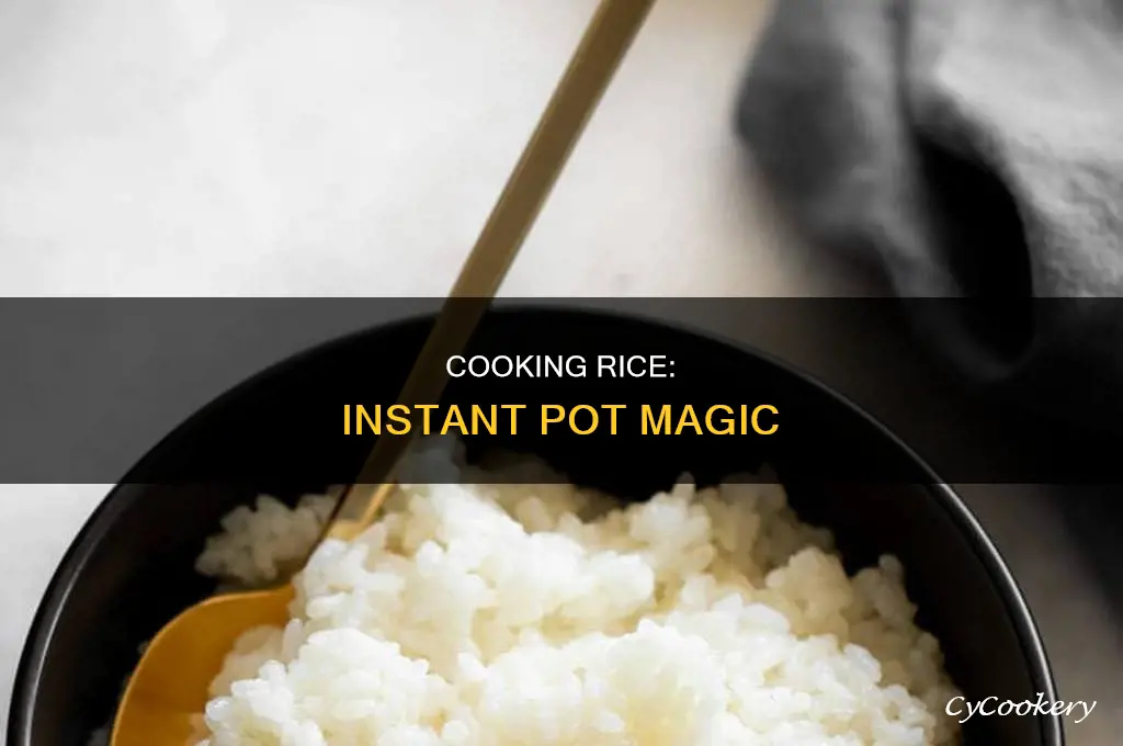 how to cook rice in ian nstant pot