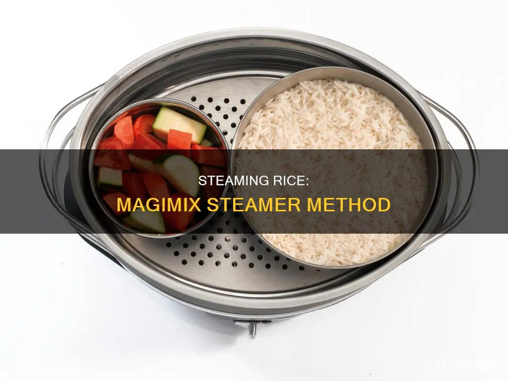 how to cook rice in magimix steamer